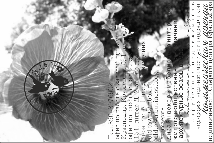 открытки титул 2